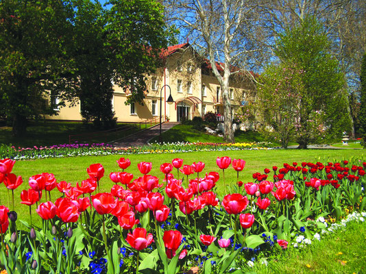 Hévíz, Hungary - Copyright heviz.hu