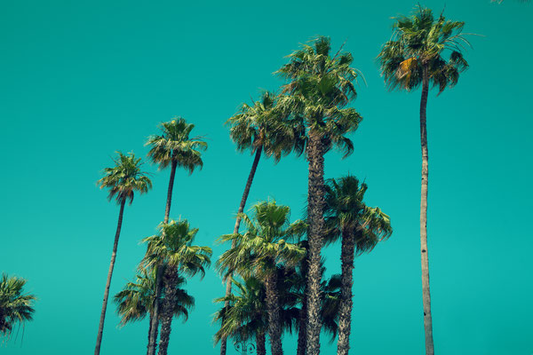 Ibiza - European Best Destinations - Copyright vvvita