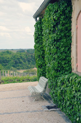Château-Troplong-Mondot
