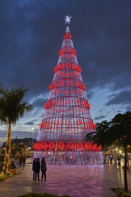 Christmas in Funchal, Madeira - Copyright Henrique S - Visit Madeira