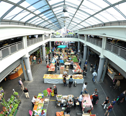 image not described image