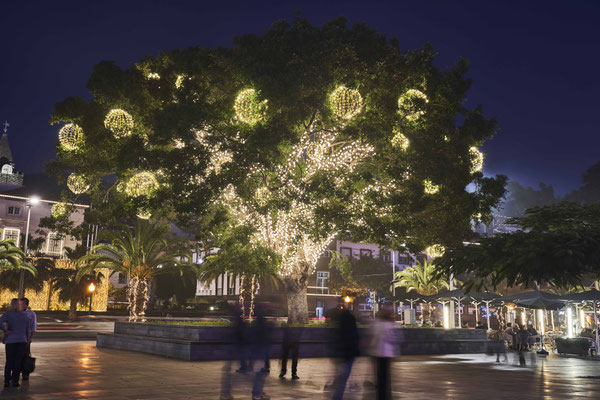 Christmas in Funchal, Madeira - Copyright Henrique S - Visit Madeira