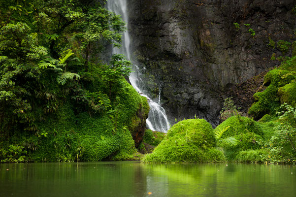 Tahiti Papenoo Valley copyright Josip Pastor