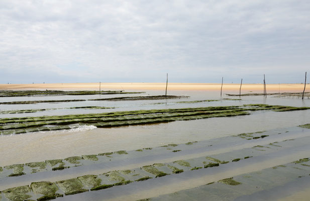 Oyster-farm-Arcachon