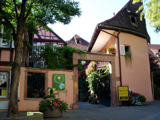 Domaine Jund, Colmar - Copyright Colmar Tourisme