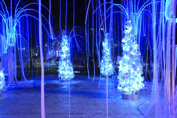 Craiova Christmas Market - Best Christmas Markets in Europe