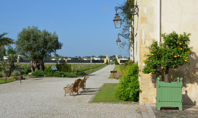 Chateau-Pape-Clement-Bordeaux ©EBD