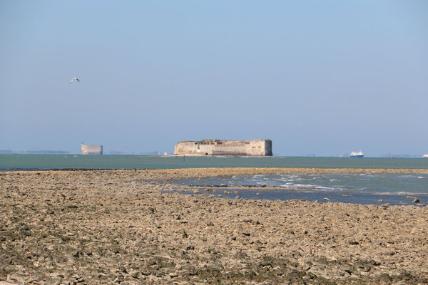 Rochefort Ocean - Sustainable tourism in Europe - European Best Destinations Copyright Marika Domenici