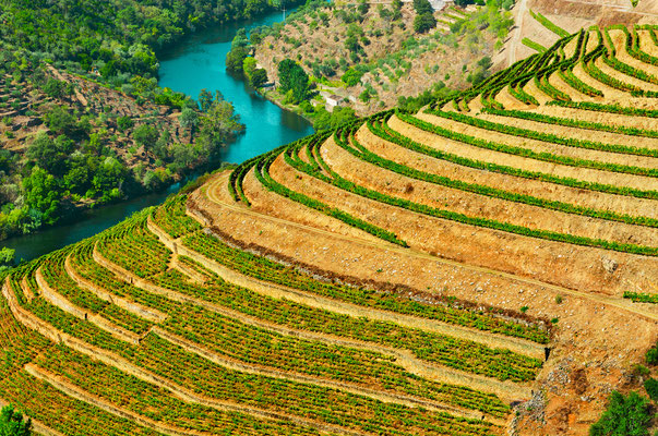 The Douro Valley - European Best Destinations - Douro Valley Vineyards - Copyright gkuna