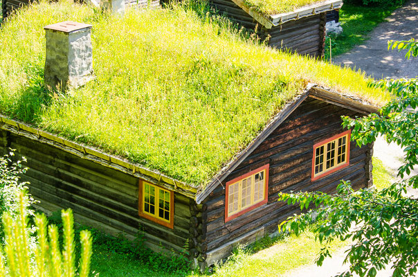 Norwegian typical grass roof country house Copyright Nanisimova