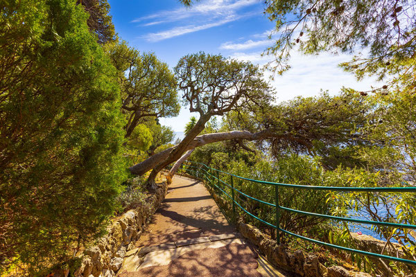 Monaco European Best Destinations - Sainte Barbe Gardens ©BVergely