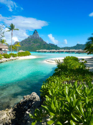 Bora Bora copyright  Darrelle Twyman