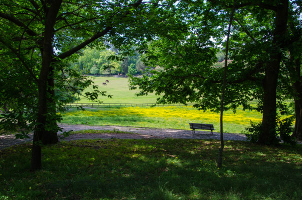 The gardens - Serralves Foundation