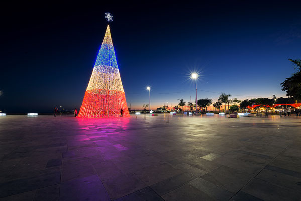 Christmas in Funchal, Madeira - Copyright Visit Madeira