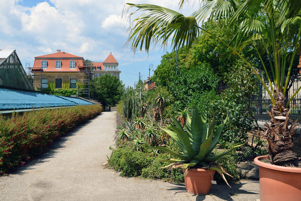 Zabreg Botanical Garden - Copyright European Best Destinations