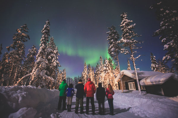 Beautiful picture of massive multicoloured green vibrant Aurora Borealis, Aurora Polaris, also know as Northern Lights in the night sky over winter Lapland landscape, Norway, Scandinavia Copyright Tsuguliev