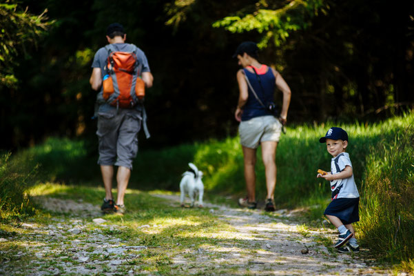 Sustainable tourism in Europe - The Eagle Mountains and Foothills Region - Copyright mojeorlickehory.cz - European Best Destinations