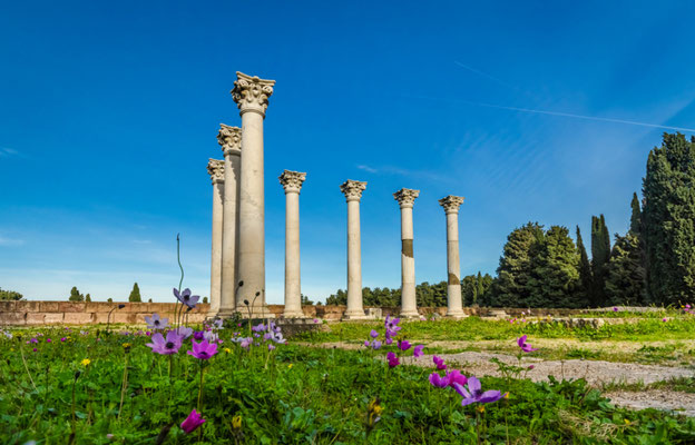 Kos Island - Greece - Best Destinations in Europe - Copyright  Maciej Czekajewski