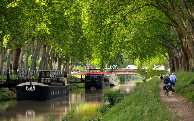 walk along the canal of midi in Toulouse, France Copyright  thieury