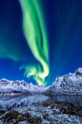 Lofoten Aurora Borealis copyright Cole Ippoliti