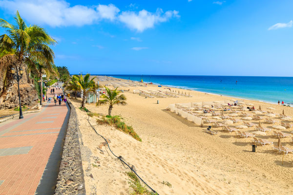 Fuerteventura copyright Pawel Kazmierczak
