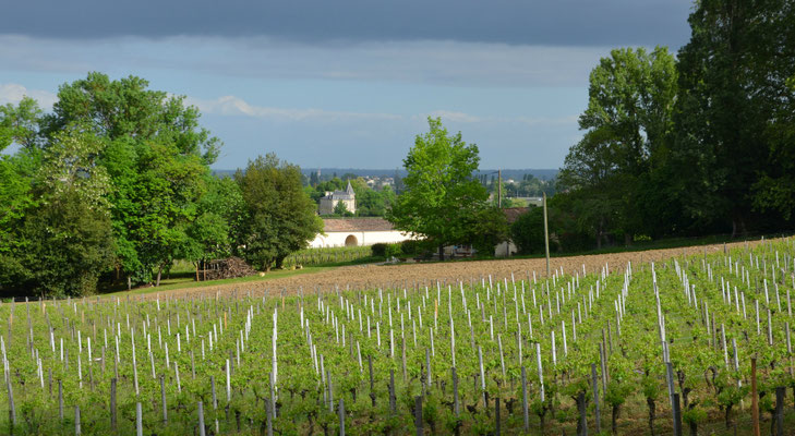 Chateau-Coutet-Saint-Emilion