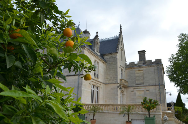 Chateau-Pape-Clement-Bordeaux ©EBD