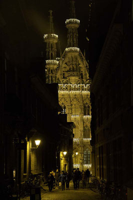 Leuven Christmas Market - Copyright visitleuven.be