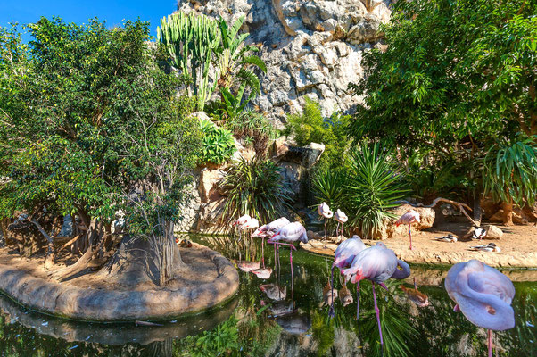Monaco European Best Destinations - Rainier III's Zoological Gardens ©BVergely