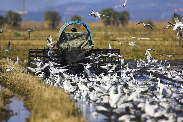 The Elbro Delta National Park - European Destinations of Excellence - European Best Destinations 