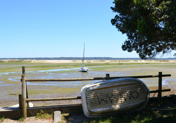 Cap-Ferret