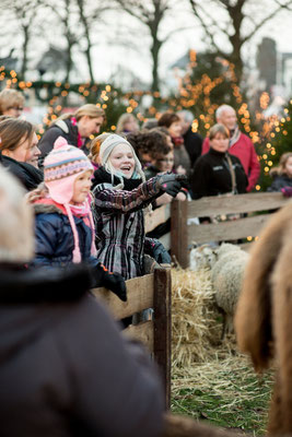 Dordrecht Christmas Market Copyright Maartje Brockbernd Fotografie