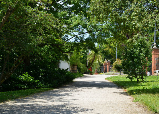 Zabreg Botanical Garden - Copyright European Best Destinations