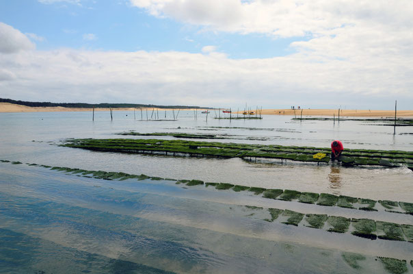 Oyster-farm-Arcachon
