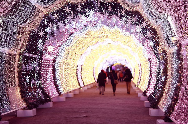 Frankfurt Christmas Market - Best Christmas Markets in Europe Copyright Kichigin