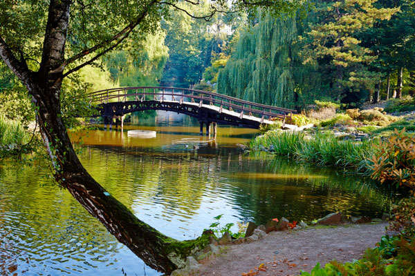 Botanical garden in Wroclaw, Poland Copyright Dariush M