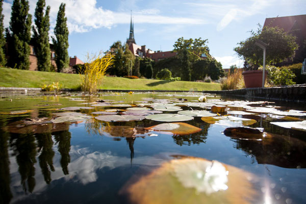 Botanical Garden Wroclaw - Copyright Visit Wroclaw - Instagram User - European Best Destinations