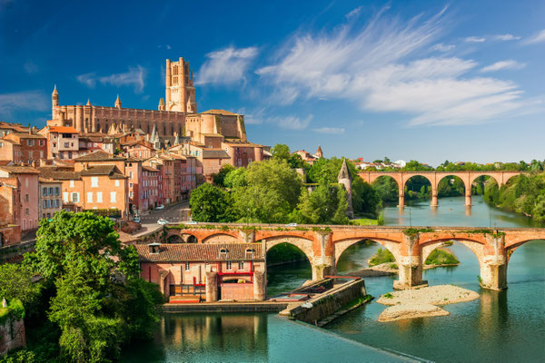 View at Cathedral of Saint Cecilia of Albi, France. Copyright Natashilo