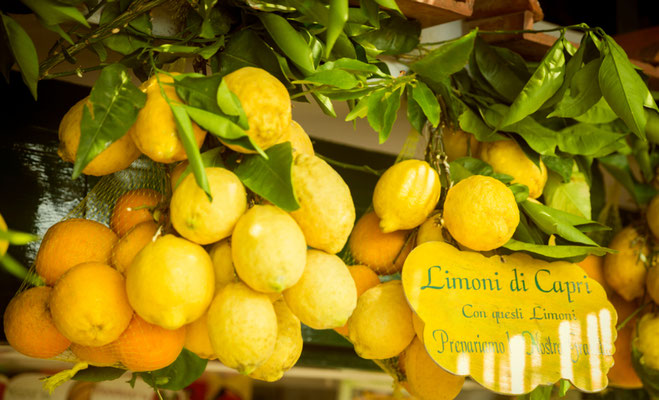 Capri Lemon copyright  mikolajn