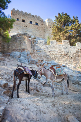 Rhodes Island in Greece - European Best Destintaions Copyright Marten House