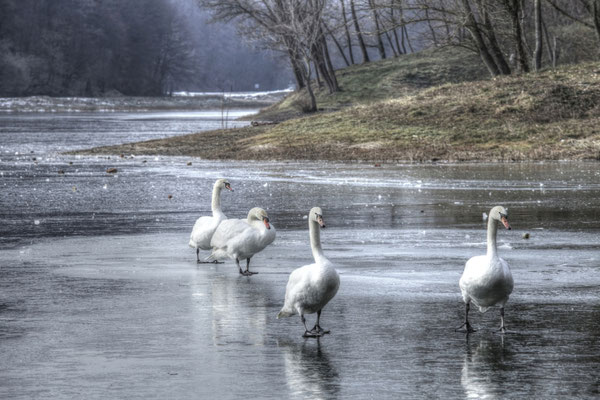 Dakovo - Sustainable tourism in Europe - European Best Destinations -EDEN