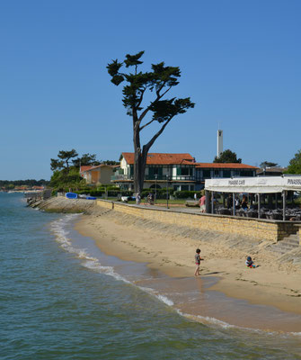 Cap-Ferret