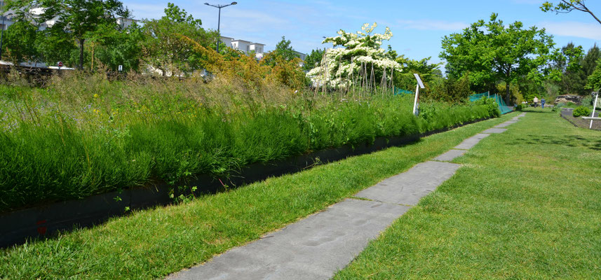 Bordeaux-Botanical-Garden