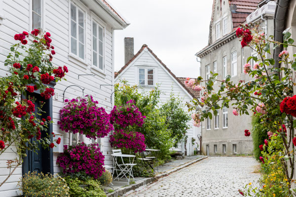 Stavanger European Best Destinations Copyright Freedom Wanted