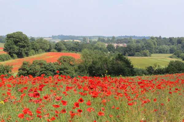 Oxford European Best Destinations - Copyright VisitEngland/Michelle Wood