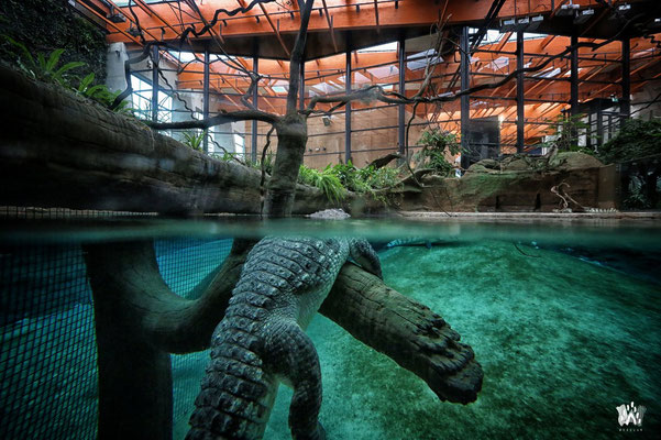 Afrykarium Wroclaw - Copyright Afrykarium Wroclaw - Visit Wroclaw - European Best Destinations