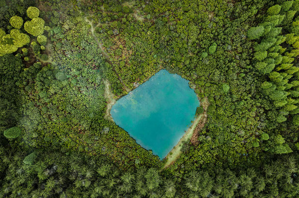 Madeira - Fanal Lake - copyright Cicero-Castro 