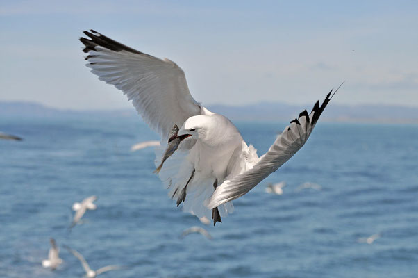 The Elbro Delta National Park - European Destinations of Excellence - European Best Destinations 