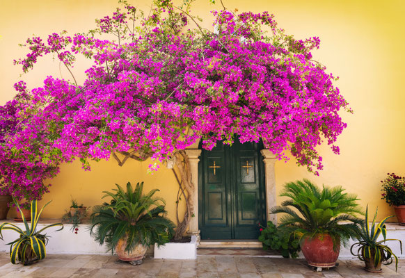 Corfu - European Best Destinations - Greek alley in Corfu - Copyright ukaszimilena