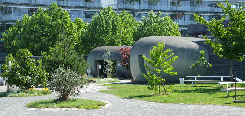 Bordeaux-Botanical-Garden